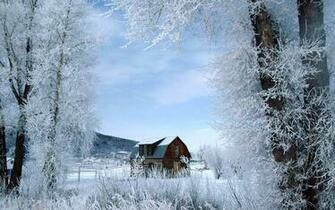 Winter Wonderland Dreamy Snow Scene Wallpaper No Desktop