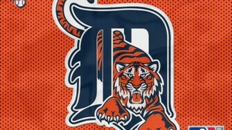 With Baseball Detroit Tigers Pictures Sports Wallpaper
