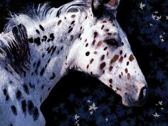 Appaloosa My Favorite Horse By Angela239