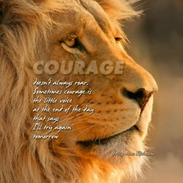 Animal Lion Text Wallpaper Sc Smartphone