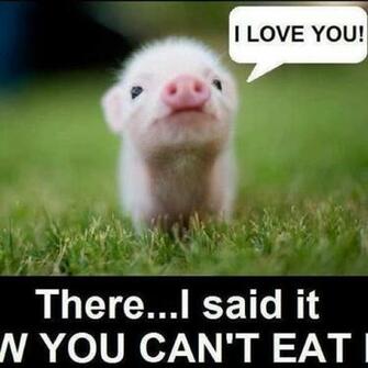 A Now I Can Eat You Soo Sad Cause Love Too