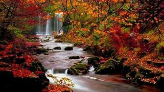 Desktop Fall Background Wallpaper HD Bsrl Org