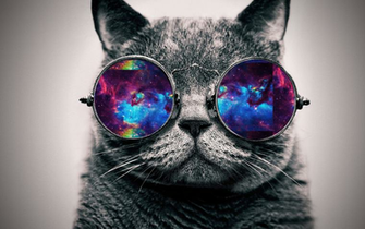 Wallpaper Galaxy Cat By Jhoannaeditions Customization