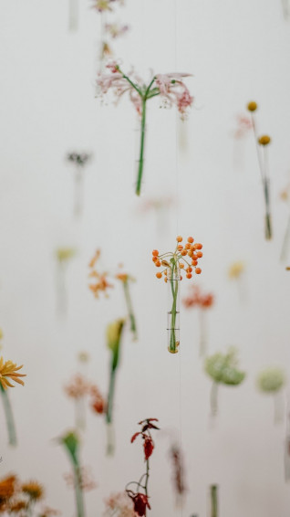 Minimalist Spring Background For Android Flower