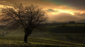 Autumn Wallpaper Sunset Background Toamna