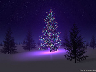 Skipping Christmas Part One Beautiful Trees Purple