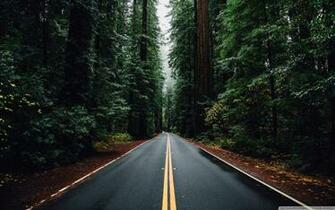 Beautiful Road 4k HD Desktop Wallpaper For Ultra Tv