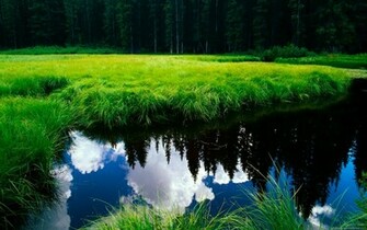 Widescreen HD Wallpaper Computer Desktop