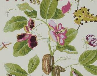 Found On Pierrefrey