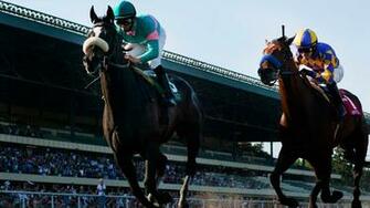 Horses Image Zenyatta HD Wallpaper And Background Photos