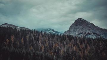 Wallpaper 4k Trees And Mountains