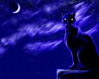 Black Panther Wallpaper Nacht 3d Fr