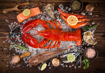 Lobster Crustacean Shrimp Fish Still Life Food Seafood 4k Wallpaper