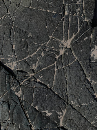 Stone Web Liked Texture Utrwtlizetdnftp9 Wallpaper