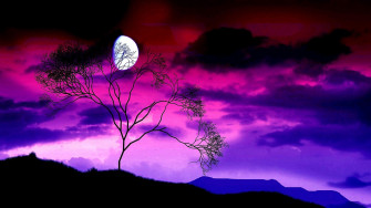 Purple Tree Wallpaper