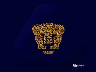 Vive El Futbol Pumas Unam