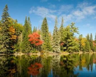 Fall Color Autumn Wallpaper No7 Desktop Htm