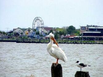 Boardwalk In Background Photo Picture Image Texas At City Data
