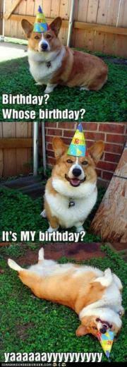 Ideas About BirtHDay Animals Dog Parties