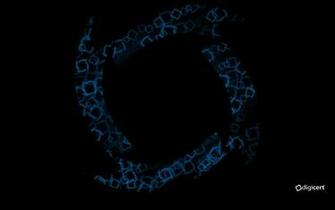 Digicert Wallpaper Background And Other Graphics
