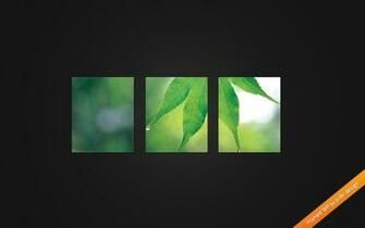 Framed Wallpaper Pack By Prdx Design