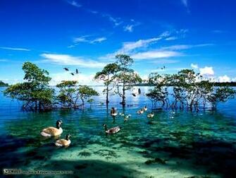 National Geographic Wallpaper Pack