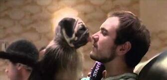 What Puppy Monkey Baby Can Teach Us About Reaching Kids