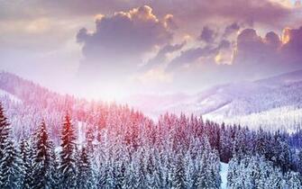 Nature Top Wallpaper HD Trending