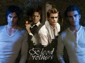 Damon And Stefan Salvatore Image HD Wallpaper
