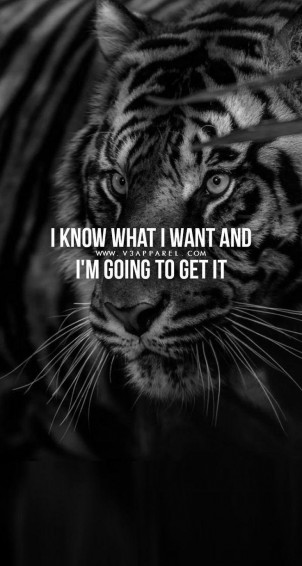 Attitude Success Quote Wallpaper Mobcup