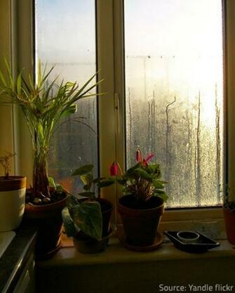 But Condensation Is Harmful For Your Household Items And Materials
