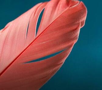 Motorola Moto E 2nd Gen Stock Wallpaper HD Tech