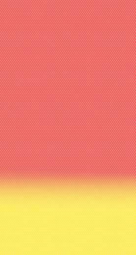 Solid Coral Color Wallpaper
