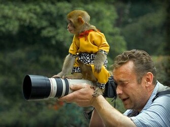 Funny Spider Monkey Animals