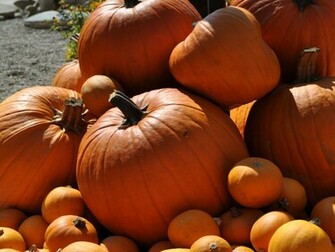 Wallpaper Friends Actions Grab Rss Feed Sitemap Pumpkins