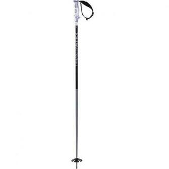 Volkl Phantastick Ski Pole Backcountry