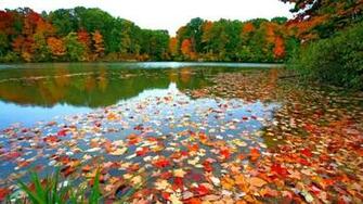 Desktop Background Autumn Gallery Image