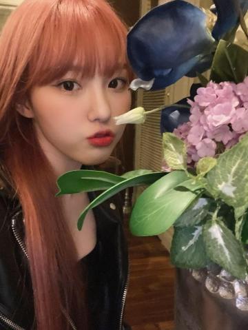 Chaehyun Pics On In Light Of My Life Girl Group