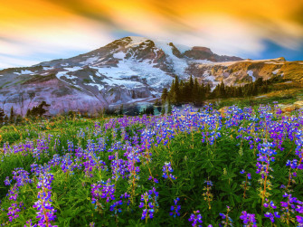 Beautiful Spring Wallpaper