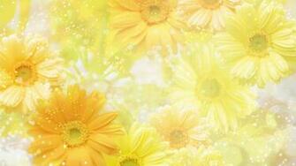 Sparkling Yellow Daisies Wallpaper