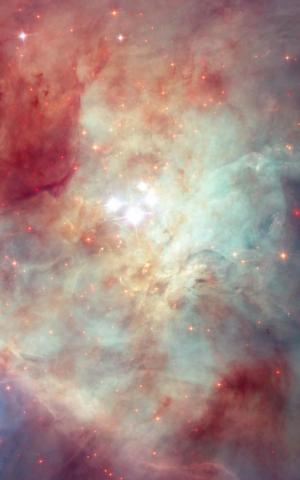 Orion Nebula 4k Ultra HD Mobile Wallpaper