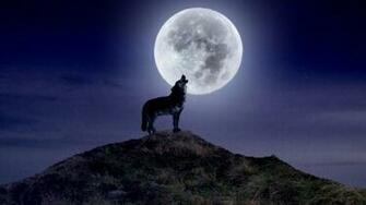 Howling Wolf Wallpaper