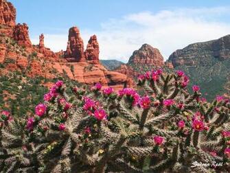 Photo Gallery Sedona Real Inn Suites