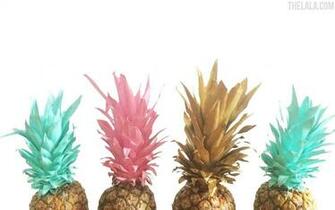 Pineapple Desktop Wallpaper Top