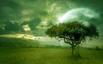 Golden Dream Wallpaper By Moroka323