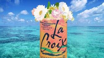This Dad S Pamplemousse Lacroix Memes Are Taking Over The Internet
