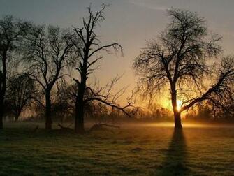 Early Morning Mist Wallpaper Hq Desktop