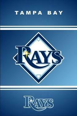 Hintergrundbild Von Den Tampa Bay Rays F Rs iPhone