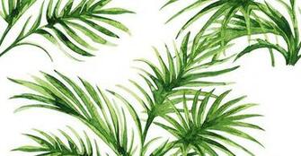 Palm Leaves Painted Custom Wallpaper Seamless Patterns