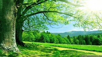 Nature Wallpaper High Resolution